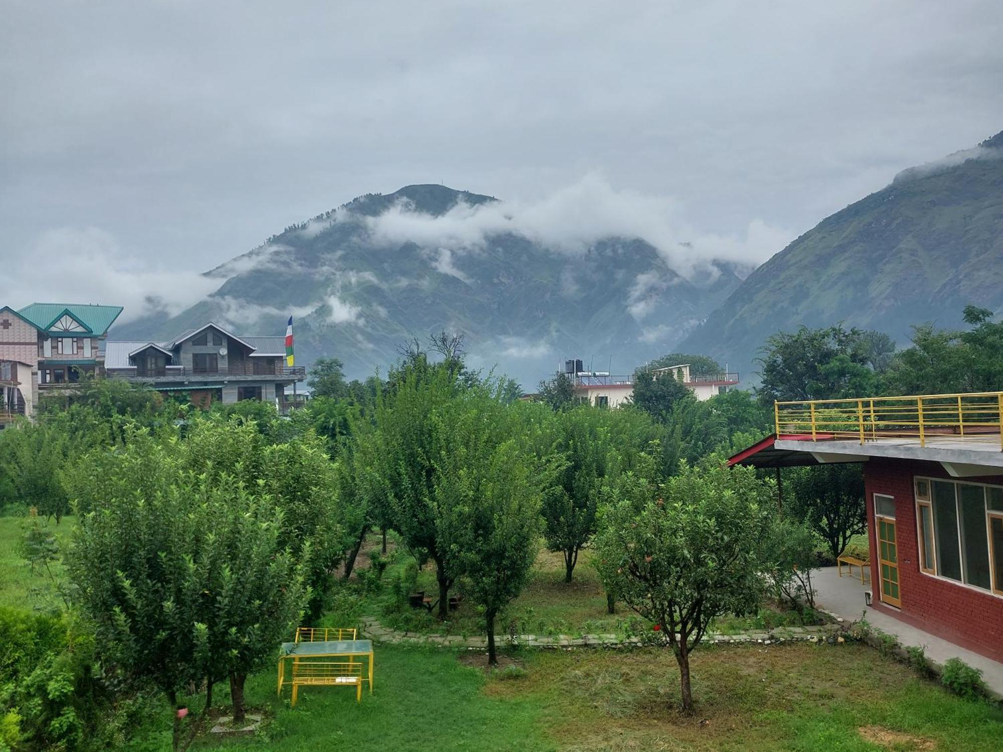 Gazing Moon Homestay Shamshi Exteriör bild